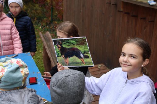 Den stromů ve spolupráci se Základní školou Františka Horenského 11  