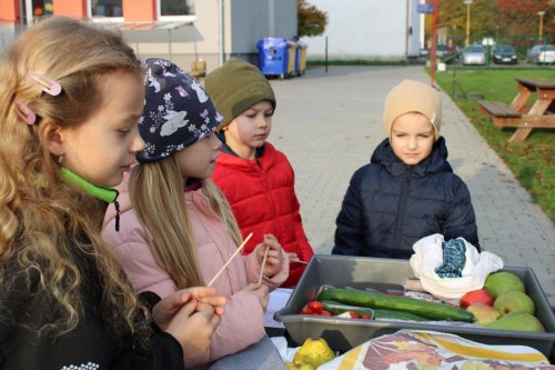 Den stromů ve spolupráci se Základní školou Františka Horenského 30  