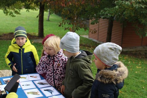 Den stromů ve spolupráci se Základní školou Františka Horenského 17  