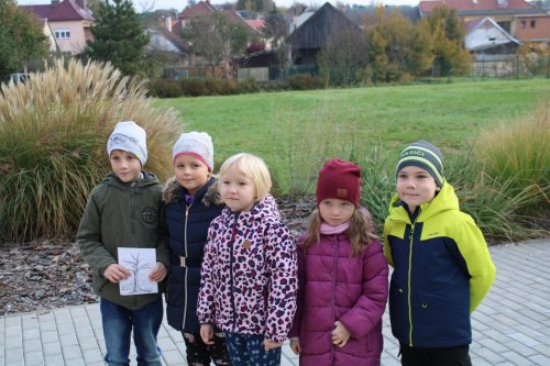 Den stromů ve spolupráci se Základní školou Františka Horenského 6  