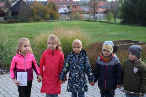 Den stromů ve spolupráci se Základní školou Františka Horenského 3  