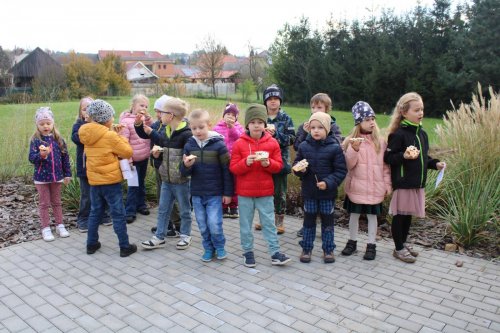 Den stromů ve spolupráci se Základní školou Františka Horenského 36  