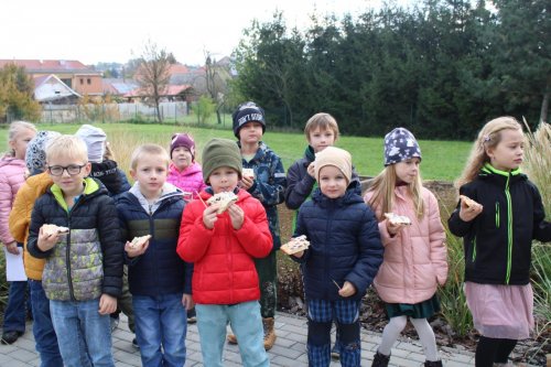 Den stromů ve spolupráci se Základní školou Františka Horenského 35  