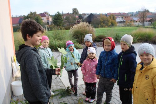 Den stromů ve spolupráci se Základní školou Františka Horenského 26  