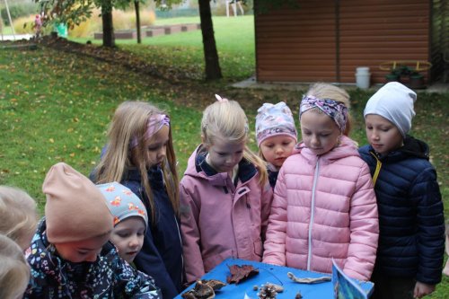 Den stromů ve spolupráci se Základní školou Františka Horenského 10  