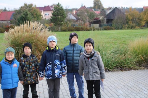 Den stromů ve spolupráci se Základní školou Františka Horenského 7  