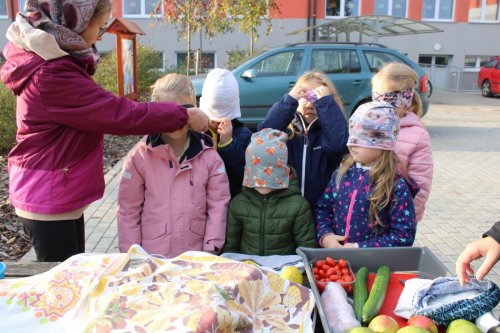 Den stromů ve spolupráci se Základní školou Františka Horenského 34  