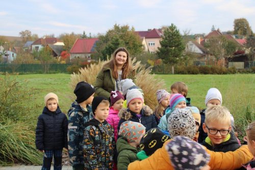 Den stromů ve spolupráci se Základní školou Františka Horenského 2  