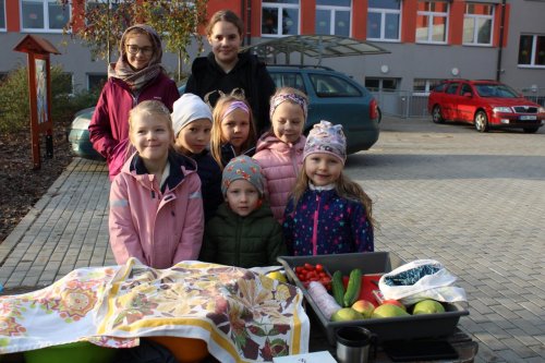 Den stromů ve spolupráci se Základní školou Františka Horenského 32  