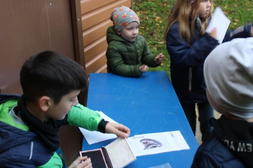 Den stromů ve spolupráci se Základní školou Františka Horenského 14  