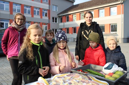 Den stromů ve spolupráci se Základní školou Františka Horenského 31  