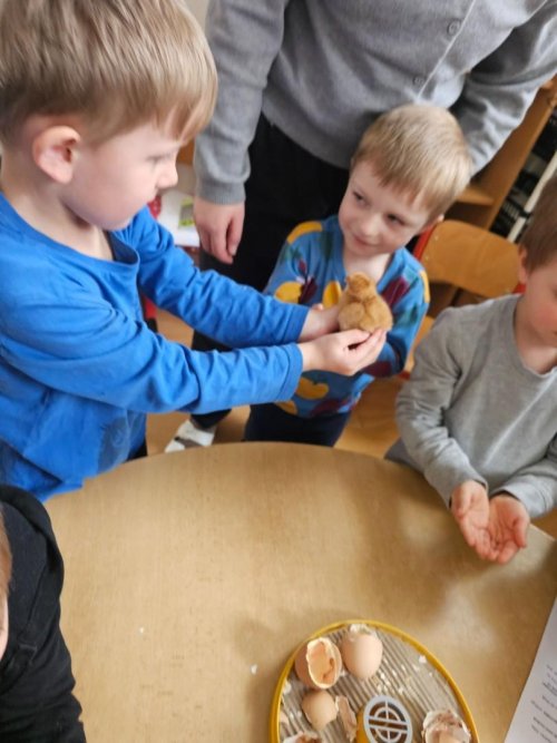 Fotografie 11